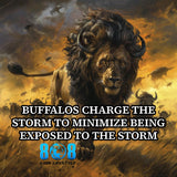 Buffalo's Storm Charge Canvas