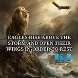 Eagle's Storm Rise Canvas