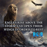 Rise higher with the Eagle's Storm Rise Sticker, a bold reminder that true leaders soar above adversity. This Rise above the storm quote sticker fuels resilience, while the Soar through adversity motivational sticker strengthens resolve. Designed as an Eagle mindset leadership decal and Strength in the storm reminder sticker, it keeps you elevated under pressure. Spread your wings—Add to cart now.
