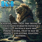 Strengthen your spirit with the Worketh Patience Sticker, inspired by enduring faith. This James 1:3-4 Bible verse sticker reminds you that trials refine and mature the soul. Display courage daily with a Faith through trials motivational sticker and Patience produces perseverance quote sticker. Grow deeper with a Christian spiritual growth laptop sticker. Let faith complete its work—Add to cart now.