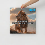 Beautiful Canvas