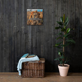 Quality Of Life Canvas