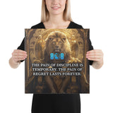Discipline vs Regret Canvas