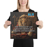 System Of Law Canvas