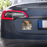 Righteousness Foundation Car Magnet