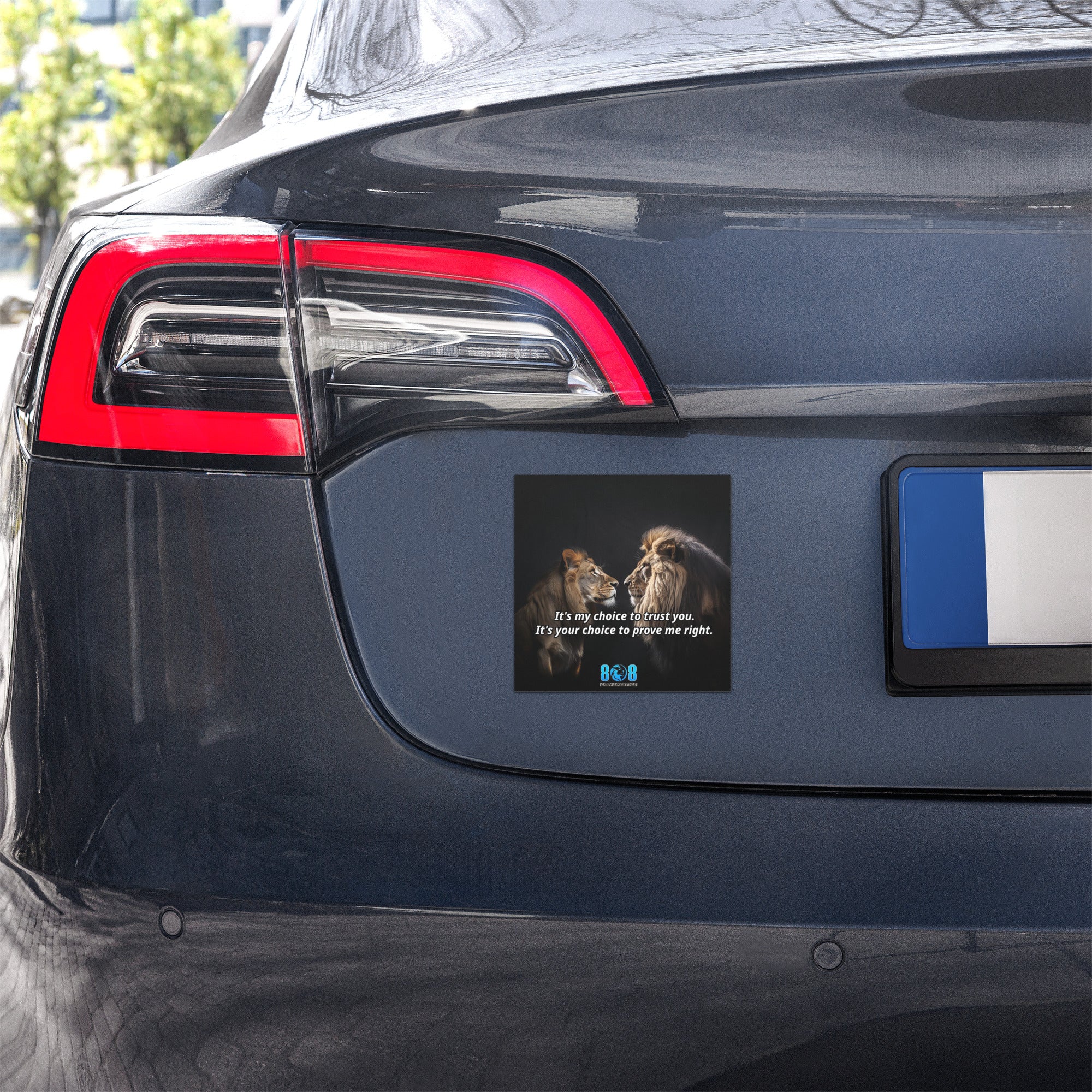 Choose belief over limitation with the Choice To Trust Car Magnet, a daily reminder that faith fuels forward motion. This trust over resources mindset car magnet strengthens resolve, while the faith before finances motivational car magnet builds calm confidence. Designed as a believe before you see vehicle magnet, it inspires courage through confidence without certainty inspirational car magnet energy—Add to cart now.