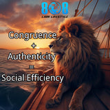 Social Efficiency Canvas
