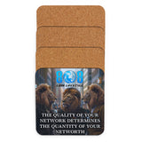 Network Determines Networth Coaster