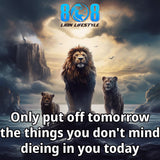 Do It Today Car Magnet