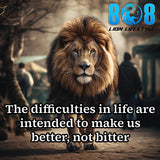 The Life Difficulties Car Magnet is a powerful daily reminder that challenges shape greatness. This Difficulties make you stronger car magnet reinforces a Better not bitter motivational car magnet mindset. Let this Hard times build character vehicle magnet inspire resilience and help you Overcome adversity mindset car magnet moments every time you drive. Add to cart
