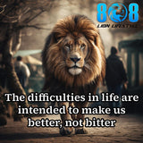 Life Difficulties Canvas